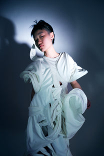 Celestial Shell Modular Ensemble